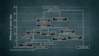 Human Evolution in All Directions