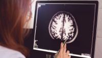 The Evolution of Brains and Behavior