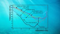 The Importance of Sound to Ocean Life