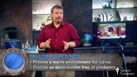 Breeding and Reproduction in a Large Ocean