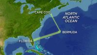 Marine Mammal Distribution around the Globe
