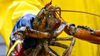 Our Role in the Ocean's Future
