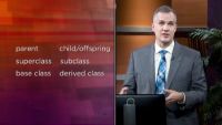 Object-Oriented Programming with Inheritance