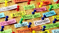 Why Are There So Many Languages?
