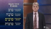 Adjective Forms and Agreement in Hebrew