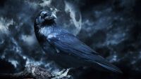 Poe—Genres and Degrees of the Fantastic