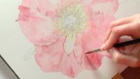 Painting the Petals
