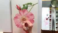 Finishing Details & Assessing Contrast