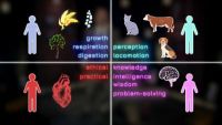 Play Theory