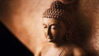 Suffering and Its Causes