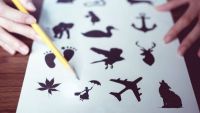 Does Sense Perception Support Knowledge?