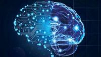 The Extended Mind
