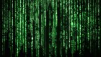 Radical Skepticism: The Brain in a Vat