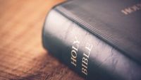 The Jesus Movement in the Greco-Roman World