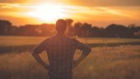 We All Need Another Hero: Universal Stories