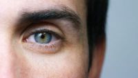 Sensing and Perceiving: How You See
