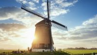 Art and Society in 16th-Century Netherlands