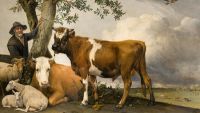 Landscape Painting in the 1640s and 1650s