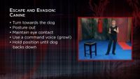 Escape and Evasion