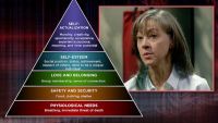 How and Why Conflict Escalates to Violence