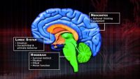 De-escalating Your Monkey Brain