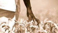 Farmers and the Rise of Populism
