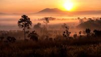 Africa's Many Natural Environments