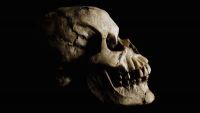The Cradle of Humankind