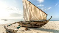 The Swahili Commercial World