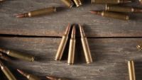 The Armed Struggles for Independence