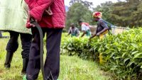 The Unthinkable - The Rwanda Genocide