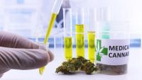 Is It Time for Medical Marijuana?