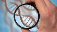 Genetics and the Media