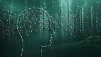 How Emotions Affect Your Decision Making