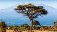 Safaris in East Africa