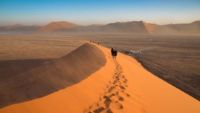 Desert Safaris
