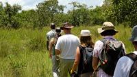 Walking Safaris