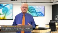 ATP and Energy Transformations in Cells