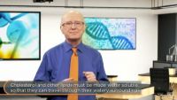Cholesterol, Membranes, Lipoproteins
