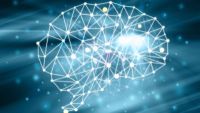 Neurotransmitters, the Brain, and Addiction