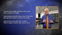 DNA Replication in Bacteria; PCR in the Lab