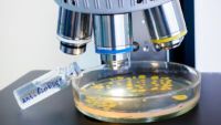 Translating RNA into Proteins