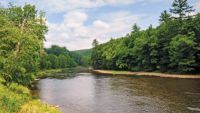 The Pennsylvania Wilds: Wilderness Reborn