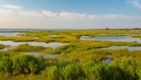 The Tidewater South: America’s Birthplace