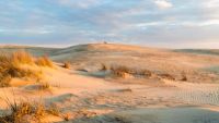 Georgia and Carolina Islands: Lost in Time