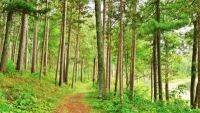 State Parks along the Mighty Mississippi