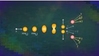 Splitting the Nucleus