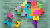 Components of Working Memory