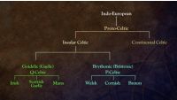 Celtic Languages in the Ancient World