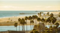 The California Avant-Garde